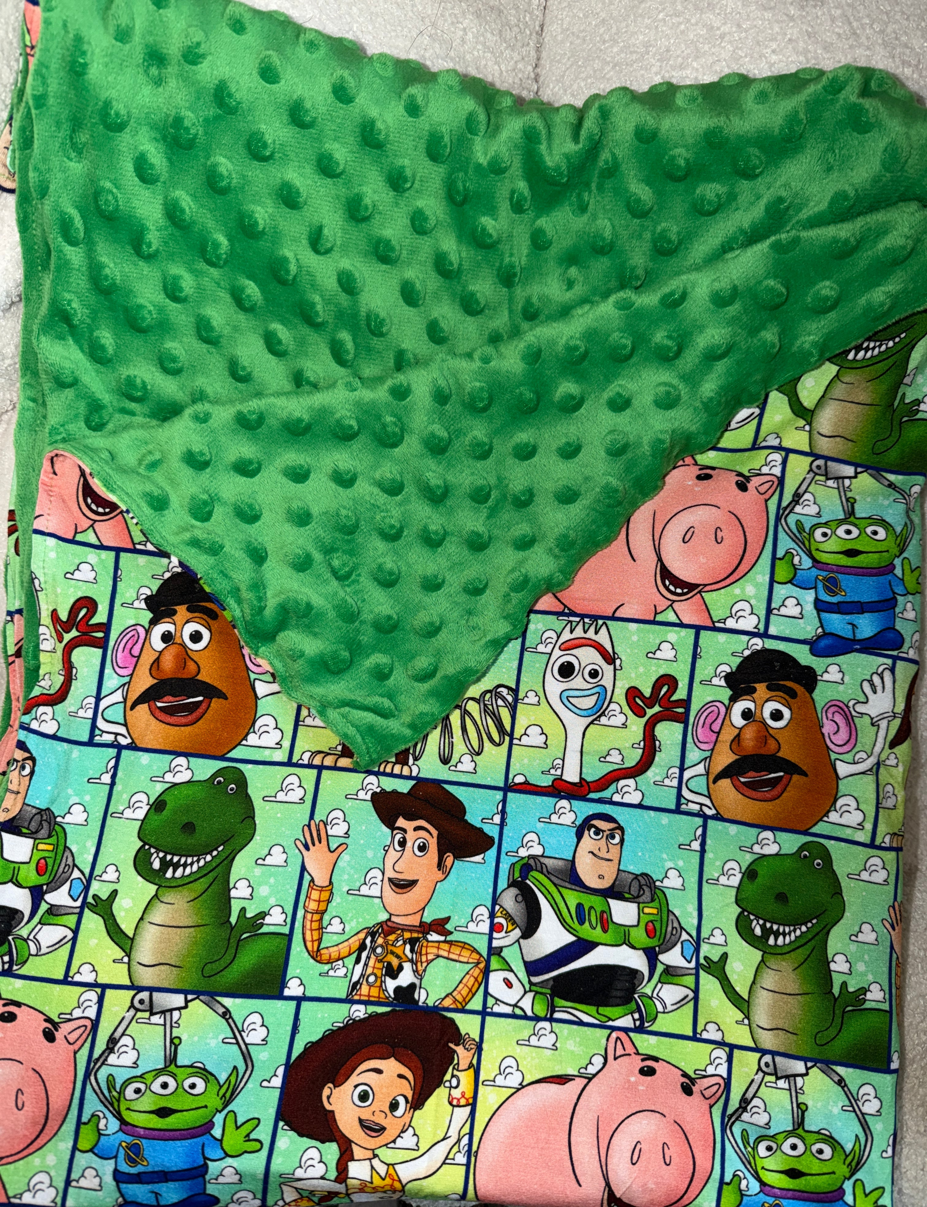 TS Bamboo x Minky Blanket