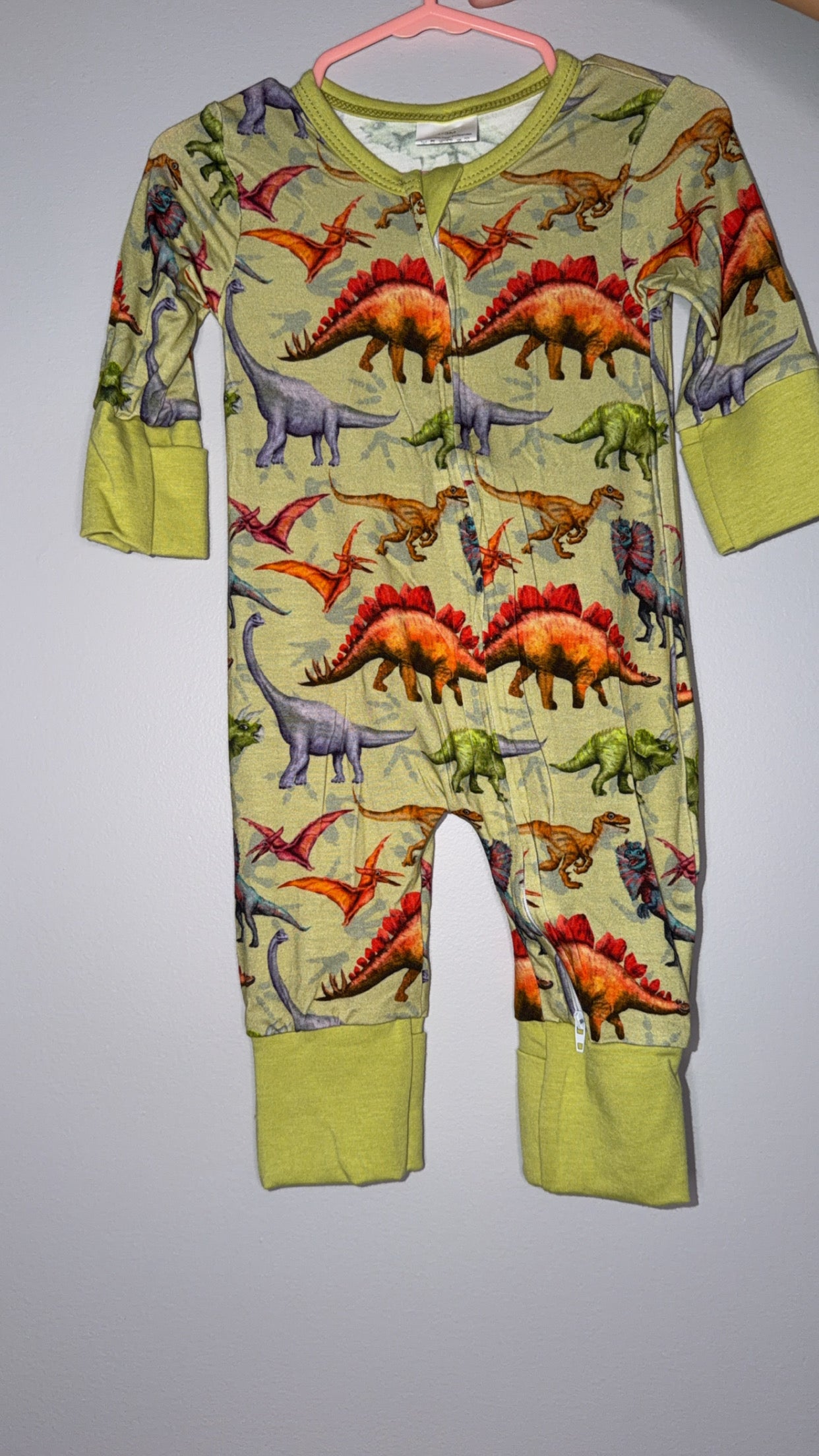 Dino Bamboo Zippy